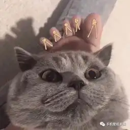  个性网头像最新,好看的女生头像