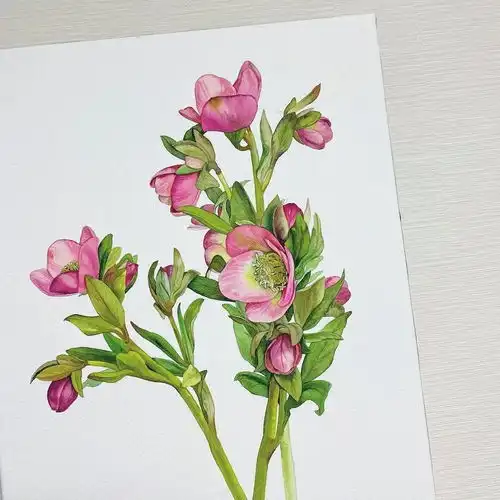  一笔一画,人美画更美