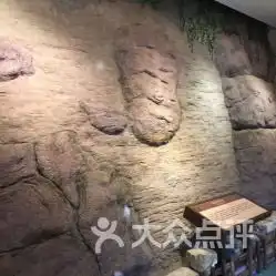  电话地址价格营业时间苜蓿园展馆展览团购南京周边游