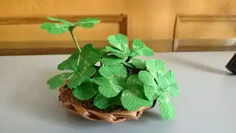  范草