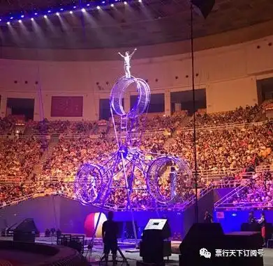  欢度春节2019新春马戏小丑嘉年华