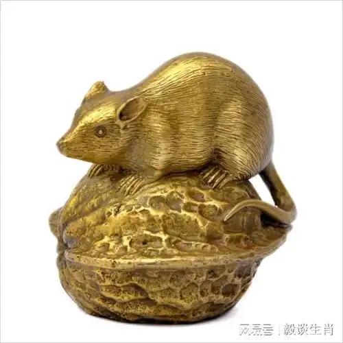  十二月后,属鼠马虎好运攻略,开门见喜,财喜汇聚,时光静好