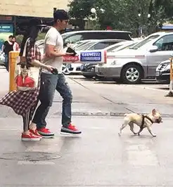遛狗头像双人