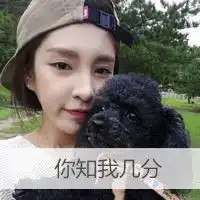  个性萌宠唯美女生文字头像无人可懂的爱,还幽幽的在墙角发着芽qq头像