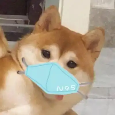 聊天必备的口罩头像让我看看谁还没有戴口罩