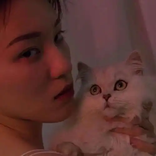  lv五合一菜篮子达芙妮值得入手吗