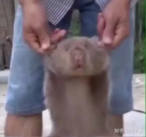 你在王者荣耀里见过哪些有意思的情侣昵称
