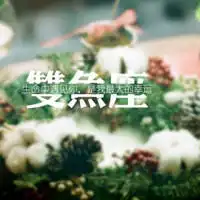  女生双鱼座图片带字双鱼座专属头像纯文字头像