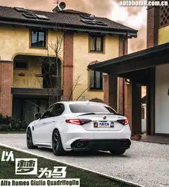  以梦为马意大利试驾giulia四叶草