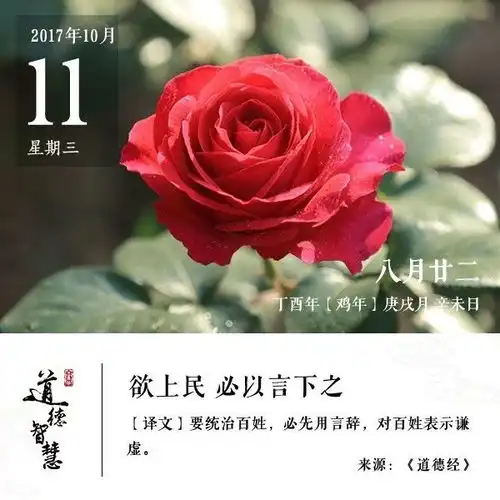  5年的爱,只为浇灌这株独一无二的风信子