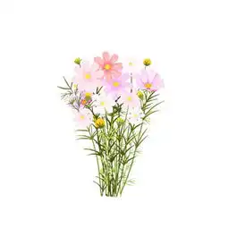  微信唯美小清新鲜花头像2018