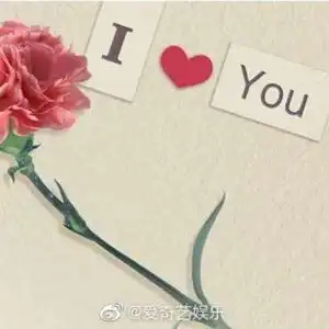  张植绿明星资料大全张植绿动态张植绿电视剧电影爱奇艺泡泡
