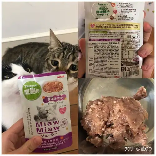  那些年吃过的猫猫湿粮罐头主食篇