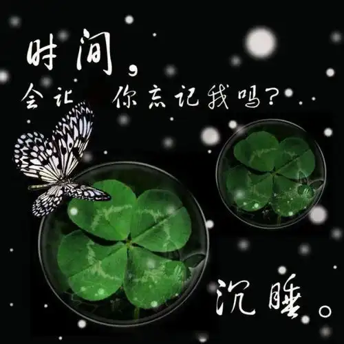 衡阳地区哪里有幸运草