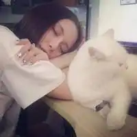  女生头像带猫咪带猫咪的女生头像
