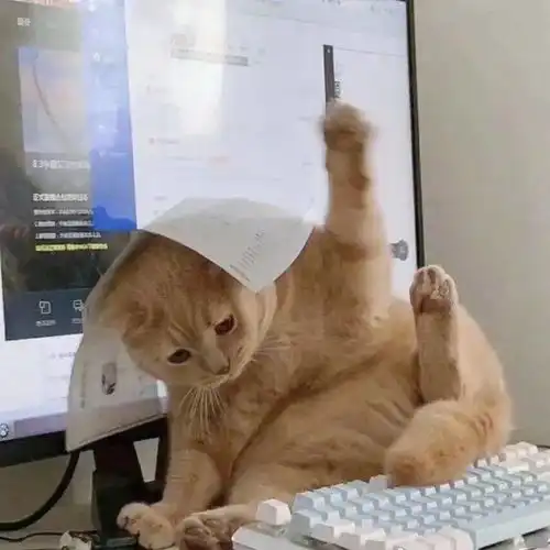 闺蜜头像一人一张沙雕猫