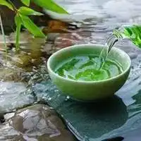  人生如茶不会苦一辈子头像微信头像图片大全