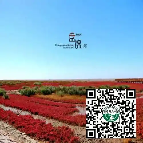  今晚出发丨坝上草原止锚湾乌兰布统红海滩快快选一条走起吧