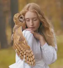 美女与野兽的共存神秘而魅惑的一面