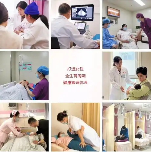  情系母婴丨潍坊市妇幼保健院打造女性全生育周期健康管理体系