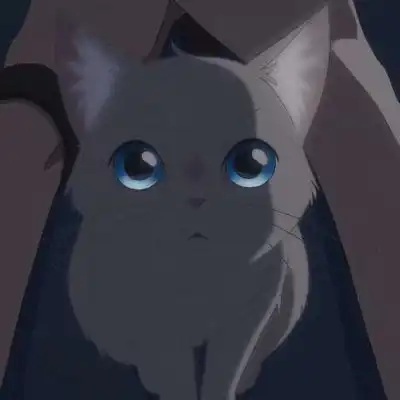  想哭泣的我带上了猫的面具