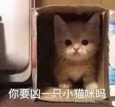  女生专用招桃花表情包