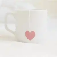  素净淡雅的白色静物头像,生活的点点滴滴值得回忆