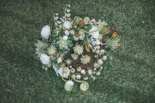  定格了时光
