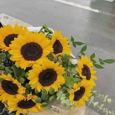  唯美意境微信头像愿你眼中总有微信头像我要个性网