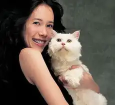  华语女星32强,各领风骚数十年