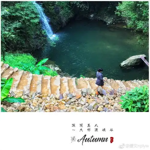  夏末时节,南平这几个地方的人,好让人羡慕