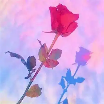  老人出殡后家门口出现一条蛇