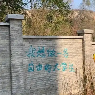  风景头像静物头像我要个性网