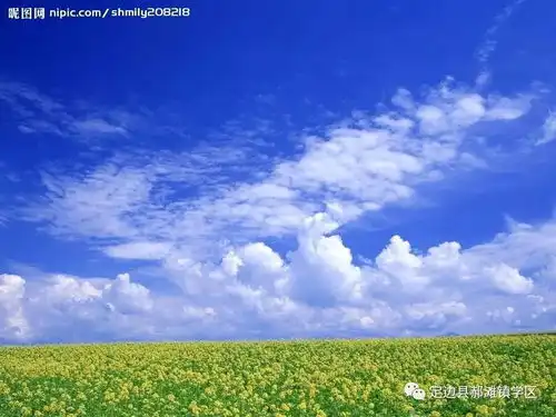  兴趣是最好的老师,自信是前进的灯塔