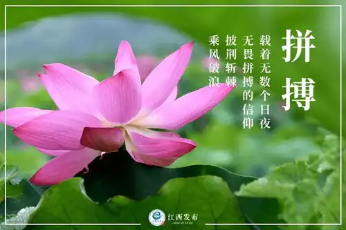 江西552600名少年祝好运
