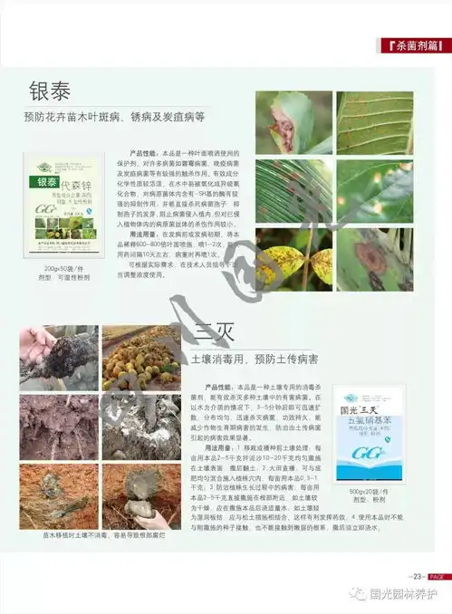 2019新版微信头像花朵新