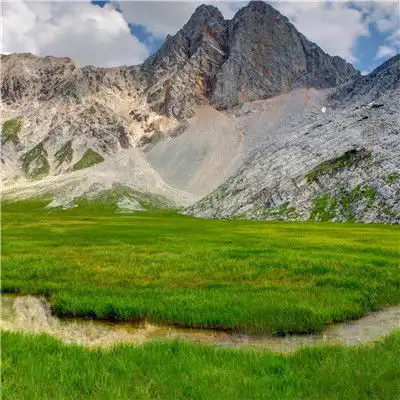  微信头像风景唯美,小清新绿色风光护眼图片