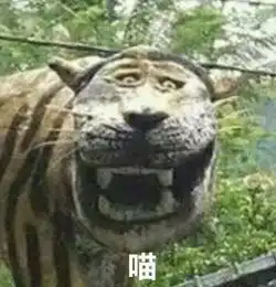  大猫人家超凶的,你们这样子对待人家,人家真的好气哦...