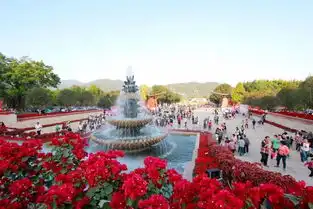  东南花都花博会云洞岩e部落每周上百个各类活动,汇聚数十万厦门上班族