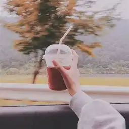  唯美简约小清新的静物头像精选风景静物头像我要个性网