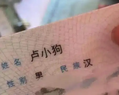  给孩子起名俊凡,办理出生证的护士打错字,宝妈大喜改得好