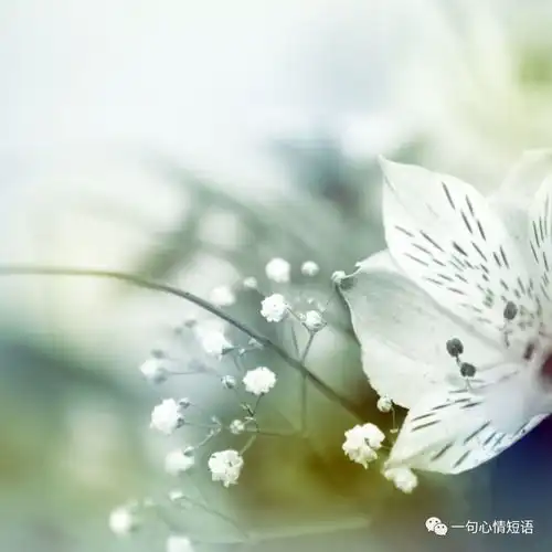  终究