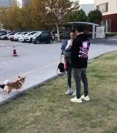  组图王思聪带女友遛狗陈雅婷素颜出街两人穿情侣鞋暗撒狗粮