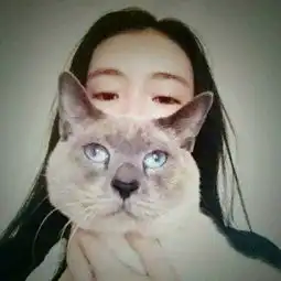 可爱猫咪头像女生霸气高