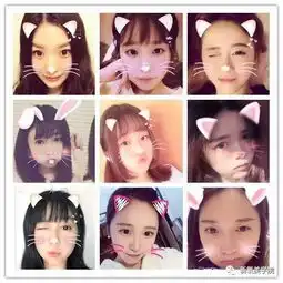  除了都整过,王思聪的女朋友们还有一个共同点