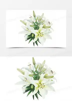  百合花图像微信头像大全