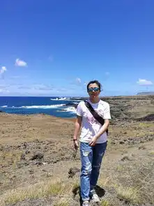  2018年和谐旅行记之南美四国智利复活节岛