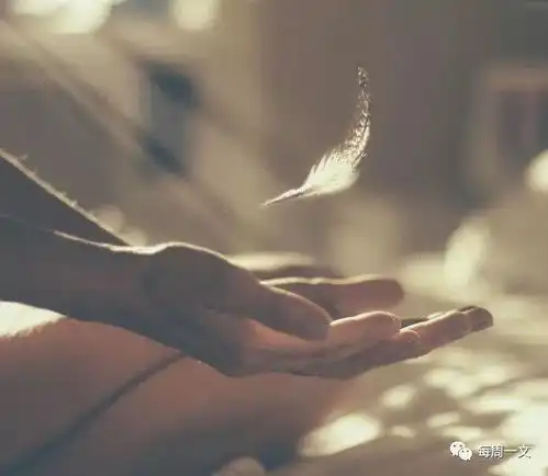 简约头像干净有意境唯美