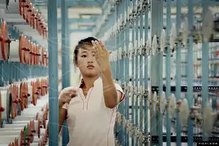  朝鲜高颜值职业女性美的让人窒息