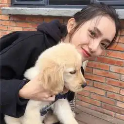  两人闺蜜头愿我们的指梦为马不负韶华